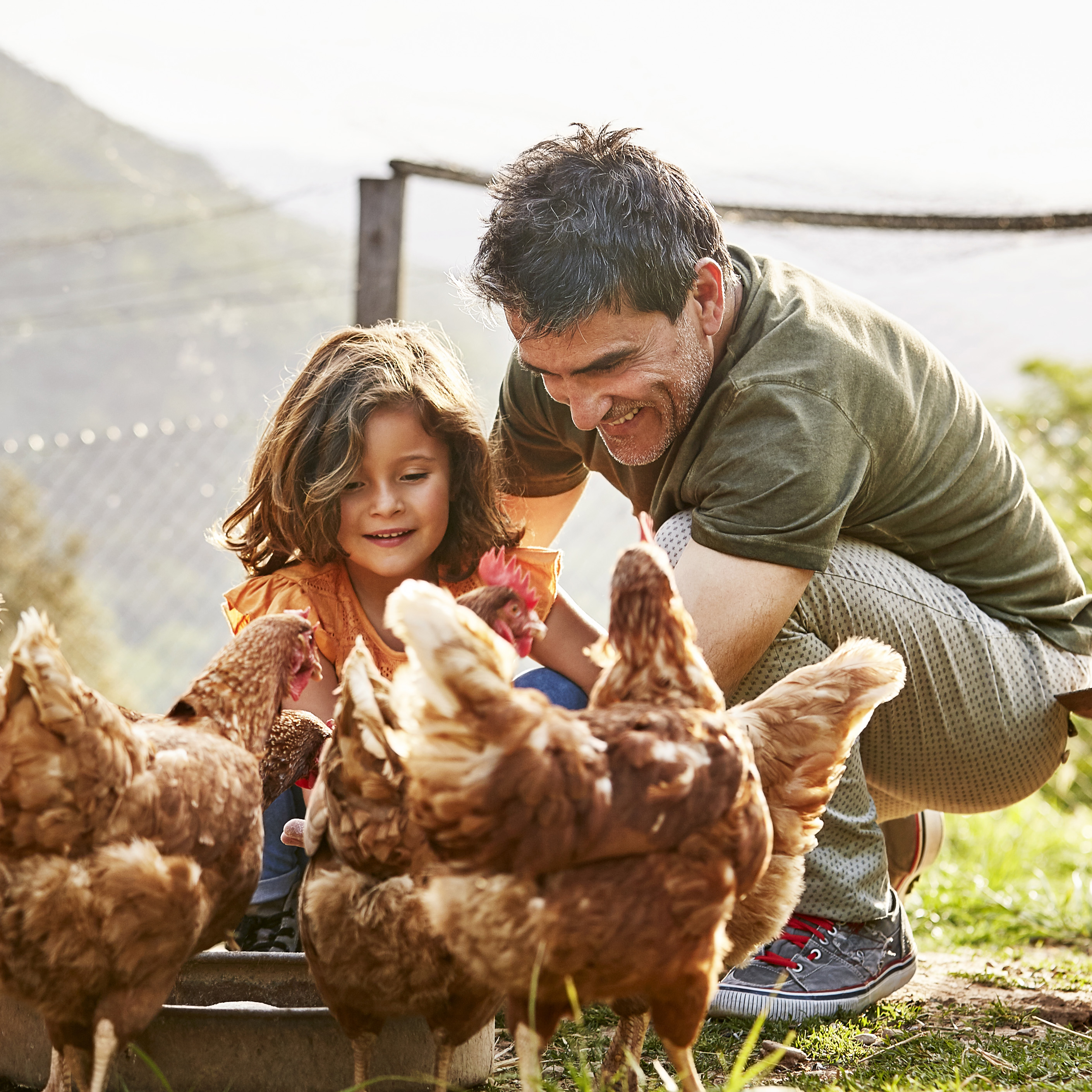 Hühner mit Kind und Mann