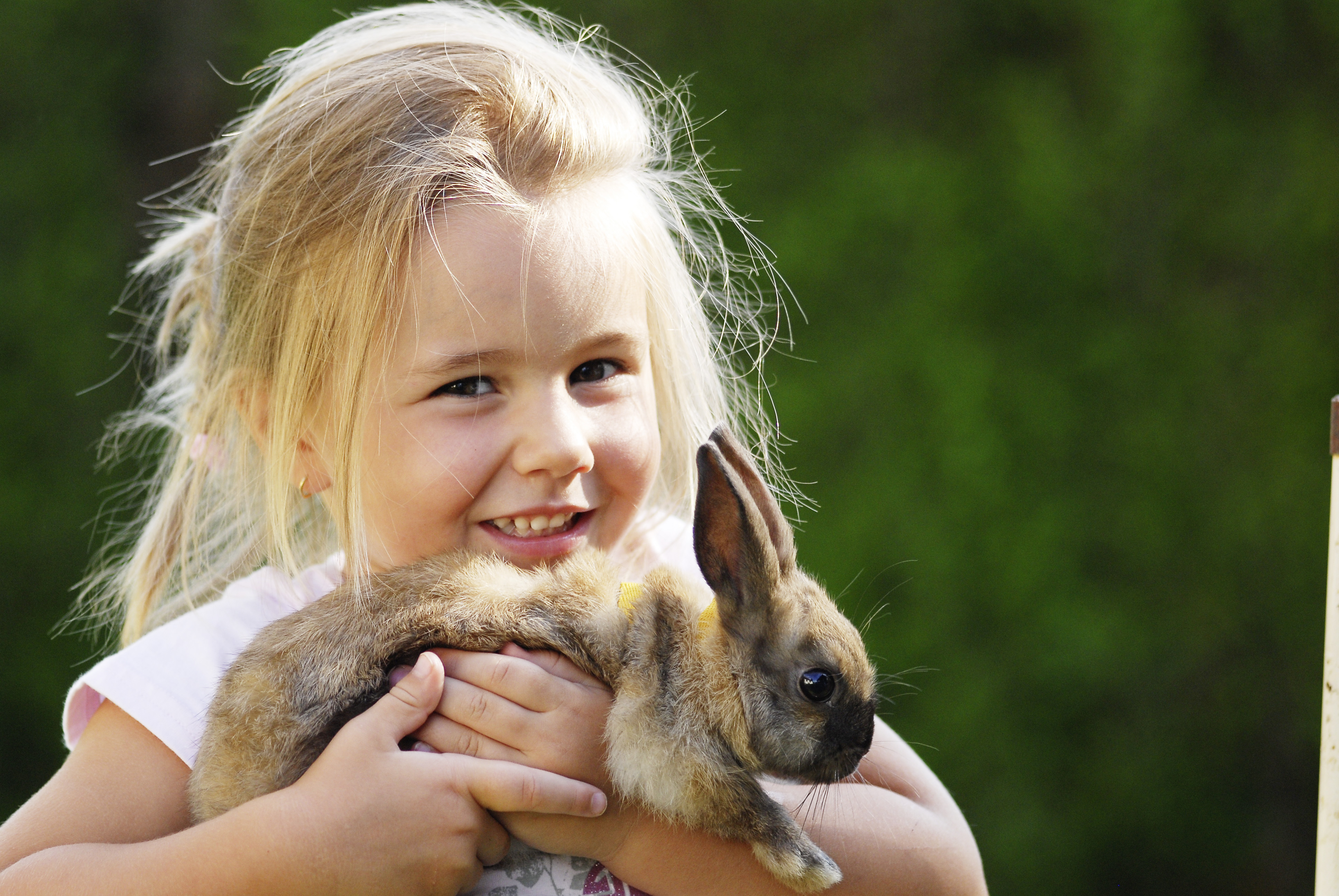 Kind mit Kaninchen auf dem Arm